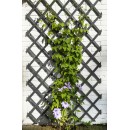 Treillis extensible en bois peint en noir 100 x 200cm marque Nature