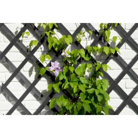Lot de 4 treillis extensible en bois peint anthacite 100 x 300 cm marque Nature