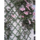 Treillis extensible en plastique vert 50 x 150 cm marque Nature