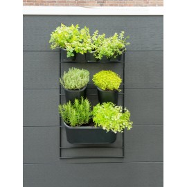 Kit Jardin vertical sur cadre métallique mural Nature