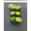 Kit Jardin vertical sur cadre m&eacute;tallique mural Nature