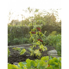 Tuteurs tomates triangulaire en acier plastifié cranté H150 cm Nature