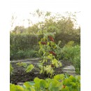 Tuteurs tomates triangulaire en acier plastifi&eacute; crant&eacute; H150 cm Nature