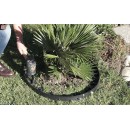 16 m&egrave;tres de bordure &agrave; gazon Nature noir hauteur 4.5 cm 6040610