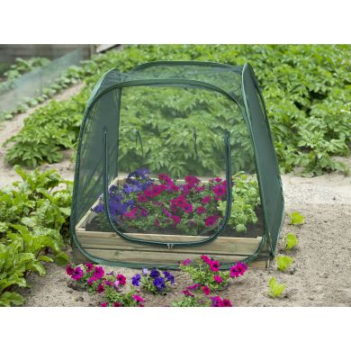 Serre pop up pour carré potager Nature 100 x 100 cm