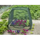 Serre pop up pour carr&eacute; potager Nature 100 x 100 cm