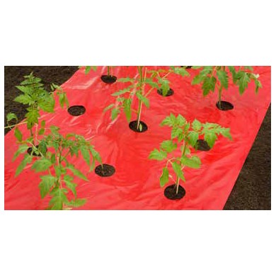 Film de paillage tomate Nature rouge 25µ trous découpés 20xØ80 mm 0,95 x 5 m