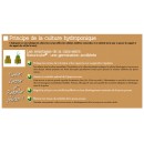 Mini-serre de culture hydroponique Nature terrine souple couvercle plateau mousse H11 x 35 x 23,5 cm