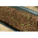 Mini-serre de culture - terrine souple, couvercle, tapis en coco - H11 x 35 x 23,5 cm