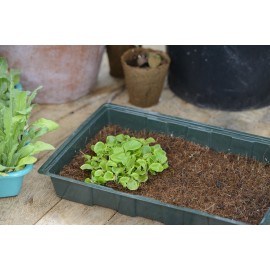 Mini-serre de culture Nature terrine souple couvercle tapis en coco H10 x 49 x 15,5 cm