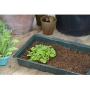 Mini-serre de culture - terrine souple, couvercle, tapis en coco - H11 x 35 x 23,5 cm