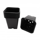 Kit complet pour semis et bouturage Nature
