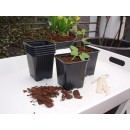 Kit complet pour semis et bouturage Nature