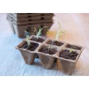 Kit complet pour semis et bouturage Nature