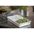Mini-serre de culture Nature terrine plateau 144 alv&eacute;oles tapis capillaire couvercle ventil&eacute; H22 x 55 x 31 cm