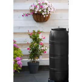 Récupérateur colonne murale 250 litres Nature Ubbink avec robinet sans pieds sans collecteur de gouttières
