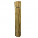 Canisse naturelle en bambou entier PREMIUM type Fargesia occultant 3/5 1 x 2 m