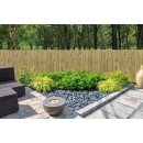 Canisse naturelle en bambou entier PREMIUM type Fargesia occultant 3/5 1 x 2 m