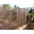 Canisse en osier naturel Naturel bois FSC, occultant 3/5  1.0 m x 3 m
