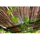 Canisse en osier naturel Naturel bois FSC, occultant 3/5  1.0 m x 3 m