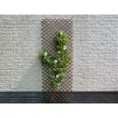 Treillis extensible en osier naturel Nature 30 x 180 cm