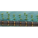 Toile de paillage paysages Nature PP tiss&eacute; vert trait&eacute; anti UV, 100 g/m&sup2; 1 x 10 m