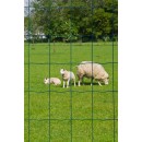 4 rouleaux de Grillage &agrave; Mouton Maille 100x75 mm acier Galvanis&eacute; Plastifi&eacute; Vert haut 60 cm longueur 10 m