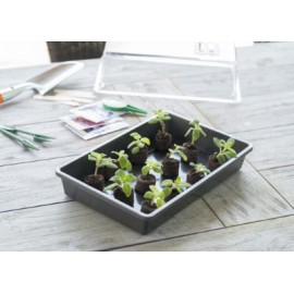 5 Terrines rigide pour semis Nature coloris anthracite H7,5 x 55 x 31 cm