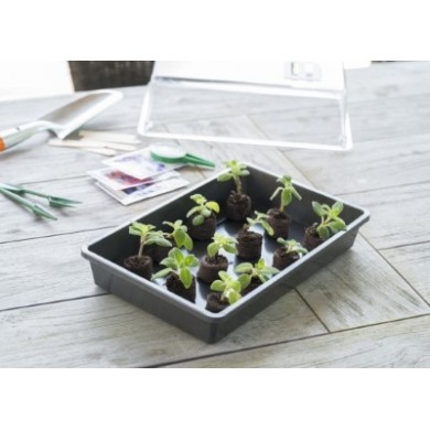 5 Terrines rigide pour semis Nature coloris anthracite H7,5 x 55 x 31 cm