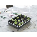 5 Terrines rigide pour semis Nature coloris anthracite H7,5 x 55 x 31 cm