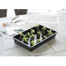 5 Terrines rigide pour semis Nature coloris noir H7,5 x 55 x 31 cm