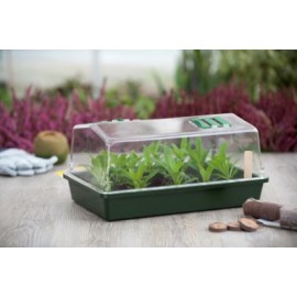 Lot de  4 Mini serre de culture terrine rigide couvercle ventilé H18 x 37,5 x 24 cm