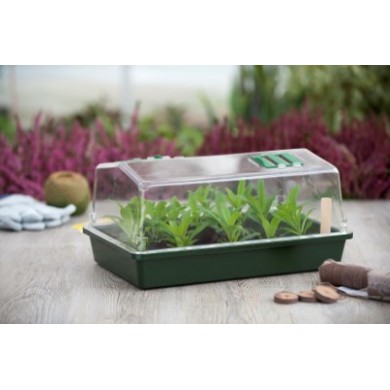 Lot de  4 Mini serre de culture terrine rigide couvercle ventilé H18 x 37,5 x 24 cm
