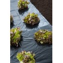 Lot de 5 films de paillage toutes cultures Nature LDPE noir 30&micro; 1,40 x 20 m