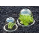 Lot de  15 Cloches avec ventilation H30,5 x diam&egrave;tre 33,5 cm