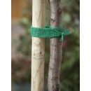 5 bandeaux de tuteurage en polypropyl&egrave;ne (PP) vert Nature 4 cm x 2 m