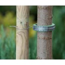 10 colliers de tuteurage Nature en polypropyl&egrave;ne (PP) souple gris