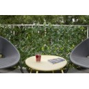 6 Treillis extensible Nature en osier avec feuillage Laurier palme 90 x 180 cm