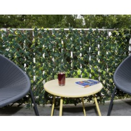 6 Treillis extensible Nature en osier avec feuillage Troène de Californie 90 x 180 cm