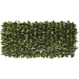 4 Treillis extensible Nature en osier avec feuillage Laurier 100 x 200 cm