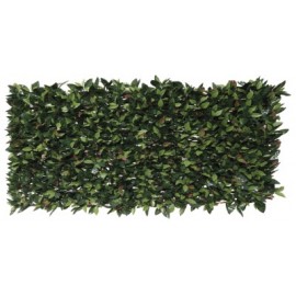 4 Treillis extensible Nature en osier avec feuillage Photinia 100 x 200 cm