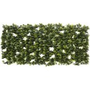 4 Treillis extensible Nature en osier avec feuillage Jasmin 100 x 300 cm