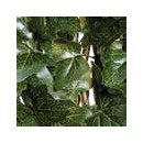 4 Treillis extensible Nature en osier avec feuillage Lierre 100 x 200 cm