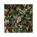 5 Treillis extensible Nature en osier avec feuillage coloris vert/rouge 100 x 200 cm