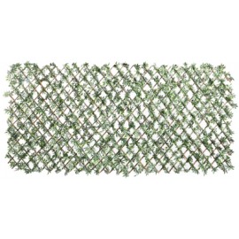 4 Treillis extensible Nature en osier avec feuillage Vigne vierge 100 x 200 cm
