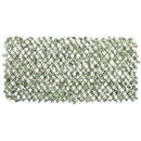 4 Treillis extensible Nature en osier avec feuillage Vigne vierge 100 x 200 cm