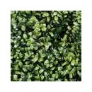 5 Dalles v&eacute;g&eacute;tale murale artificielle Nature d&eacute;cor Buisson 100 x 100 cm