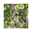 5 Dalles v&eacute;g&eacute;tale murale artificielle Nature d&eacute;cor Taiga 100 x 100 cm
