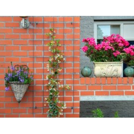 5 Treillis métallique décoratif Metalex Nature H 145 x 72,5 cm galva
