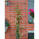 5 Treillis m&eacute;tallique d&eacute;coratif Metalex Nature H 145 x 72,5 cm galva